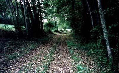 le chemin de Flagy