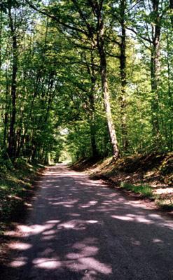le chemin de Montmachoux
