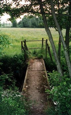 Le chemin des Marais
