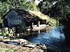 Papier peint : le lavoir de Bichereau